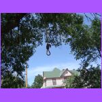 Hanging Tree.jpg